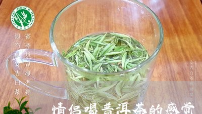 情侣喝普洱茶的感觉/2023120586158