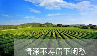 情深不寿眉下闲愁/2023062010383