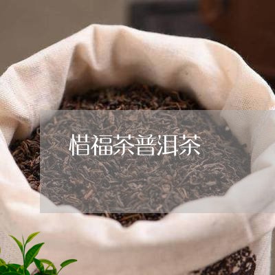 惜福茶普洱茶/2023042850993