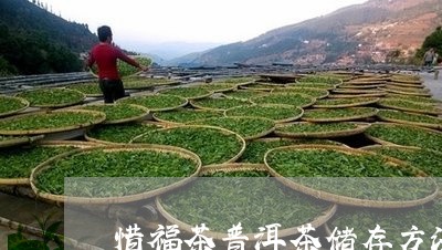 惜福茶普洱茶储存方法/2023062878063