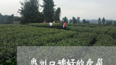 惠州口碑好的寿眉/2023062073625