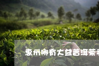 惠州哪有大益普洱茶卖/2023062340593