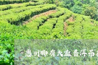 惠州哪有大益普洱茶卖/2023073043724