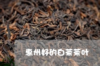 惠州好的白茶茶叶/2023062022916