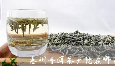 惠州普洱茶产地在哪里啊/2023120794948