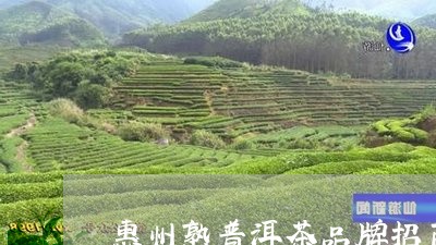 惠州熟普洱茶品牌招商/2023061438251