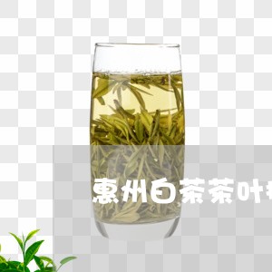 惠州白茶茶叶招商条件/2023093088612