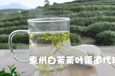 惠州白茶茶叶渠道代理/2023093093725