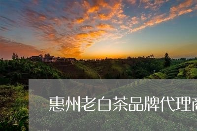 惠州老白茶品牌代理商/2023093017693