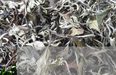 惠明红茶/2023121926158