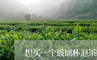 想买一个玻璃杯泡茶叶/2023092350561