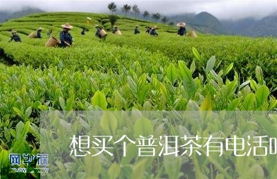 想买个普洱茶有电活吗/2023062052826