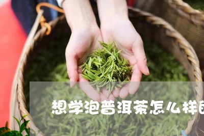 想学泡普洱茶怎么样的/2023082982714