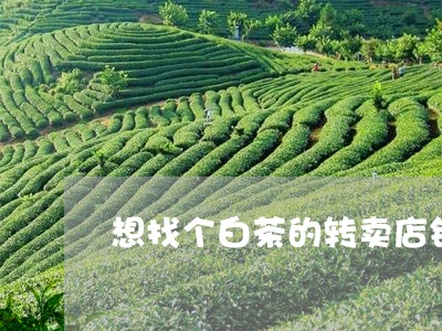 想找个白茶的转卖店铺/2023093082048