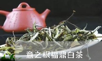 意之根福鼎白茶/2023112580573