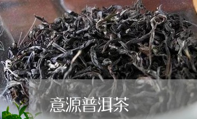 意源普洱茶/2023090667378