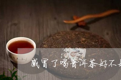 感冒了喝普洱茶好不好/2023062084938