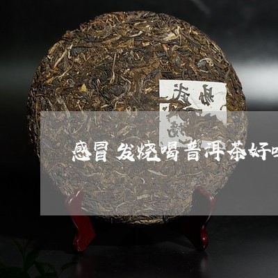 感冒发烧喝普洱茶好吗/2023080251606