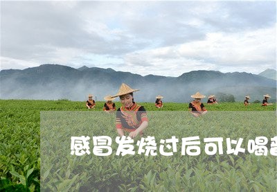 感冒发烧过后可以喝普洱茶吗/2023052820484