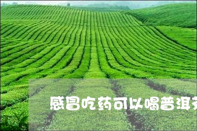 感冒吃药可以喝普洱茶嘛/2023122040583