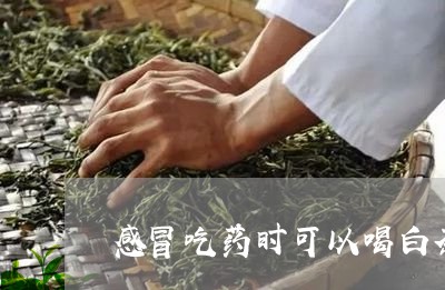 感冒吃药时可以喝白茶吗/2023102583845