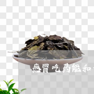 感冒吃药能和普洱茶吗/2023062046170