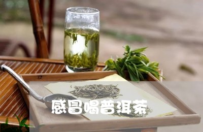 感冒喝普洱茶/2023042943084