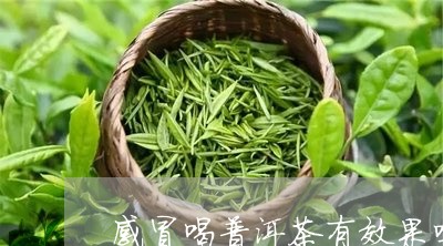 感冒喝普洱茶有效果吗/2023092904957