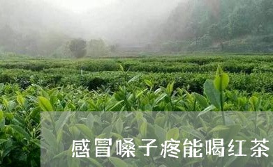 感冒嗓子疼能喝红茶吗/2023071426171