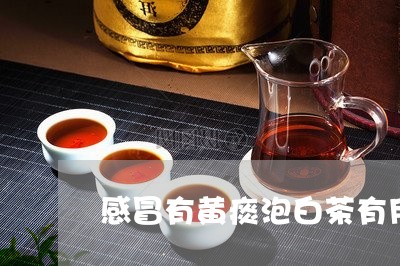 感冒有黄痰泡白茶有用吗/2023102548341