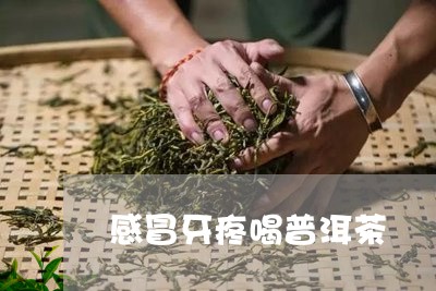 感冒牙疼喝普洱茶/2023082933927