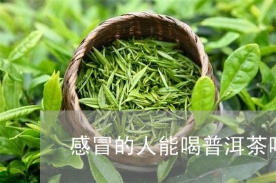 感冒的人能喝普洱茶吗/2023062248694