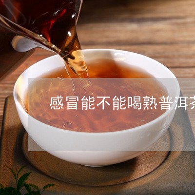 感冒能不能喝熟普洱茶/2023092906259