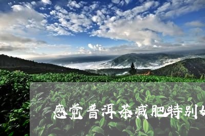 感觉普洱茶减肥特别好/2023080171035