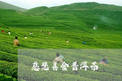 慈悲喜舍普洱茶/2023120318141