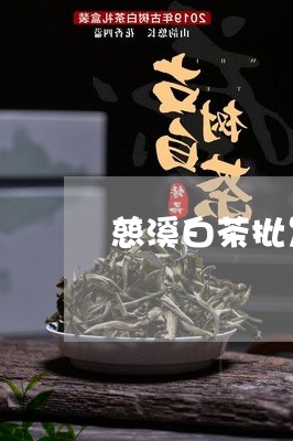 慈溪白茶批发在哪里卖的/2023102589895