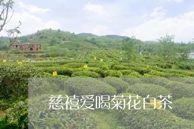 慈禧爱喝菊花白茶/2023062094038