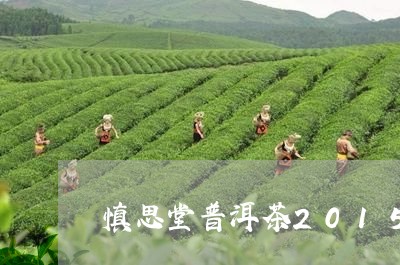 慎思堂普洱茶2015/2023062847593