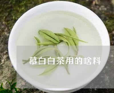 慕白白茶用的啥料/2023062050793