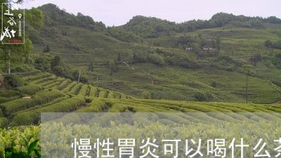 慢性胃炎可以喝什么茶养胃/2023051129493