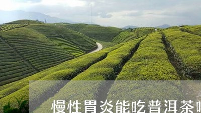 慢性胃炎能吃普洱茶吗/2023100838270