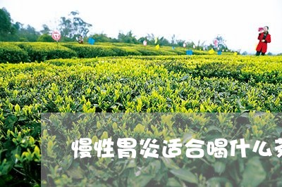 慢性胃炎适合喝什么茶/2023071324258