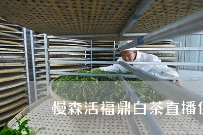 慢森活福鼎白茶直播供应链加工厂/2023062993829