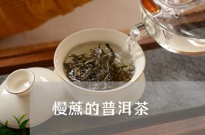 慢蔗的普洱茶/2023090662603