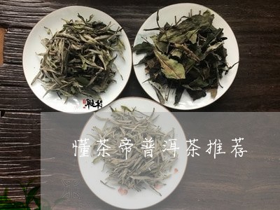 懂茶帝普洱茶推荐/2023101684837