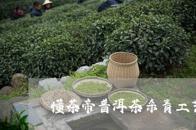 懂茶帝普洱茶杀青工艺/2023062341605