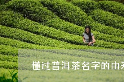 懂过普洱茶名字的由来/2023092858580