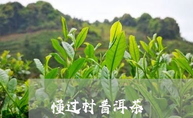 懂过村普洱茶/2023042918534