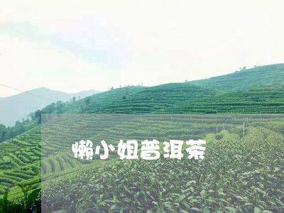 懒小姐普洱茶/2023042609876