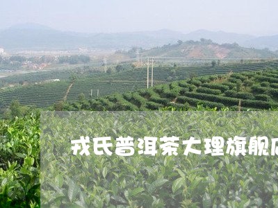 戎氏普洱茶大理旗舰店/2023061769694